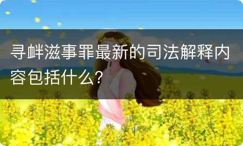 寻衅滋事罪最新的司法解释内容包括什么？