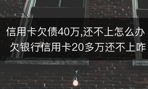 信用卡欠债40万,还不上怎么办 欠银行信用卡20多万还不上咋办