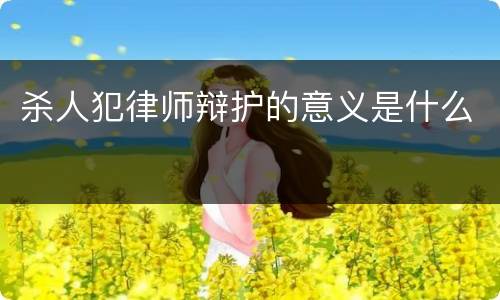 杀人犯律师辩护的意义是什么