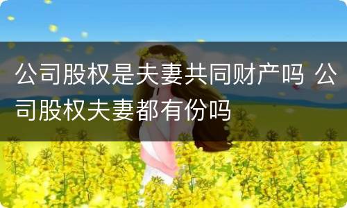 公司股权是夫妻共同财产吗 公司股权夫妻都有份吗