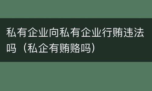 私有企业向私有企业行贿违法吗（私企有贿赂吗）