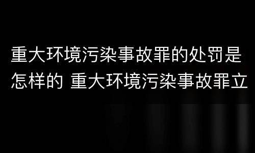 重大环境污染事故罪的处罚是怎样的 重大环境污染事故罪立案标准