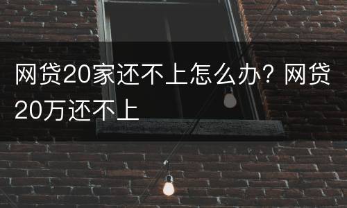 网贷20家还不上怎么办? 网贷20万还不上