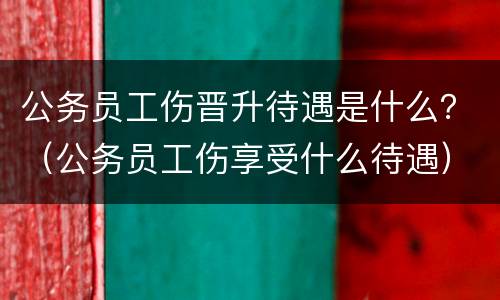 公务员工伤晋升待遇是什么？（公务员工伤享受什么待遇）