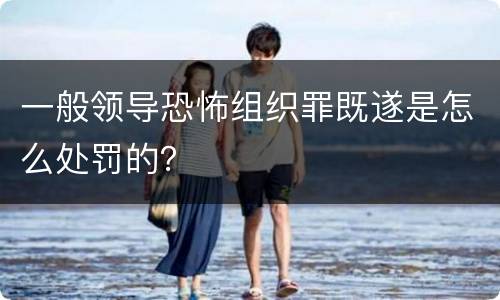 一般领导恐怖组织罪既遂是怎么处罚的？