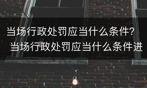 当场行政处罚应当什么条件？ 当场行政处罚应当什么条件进行