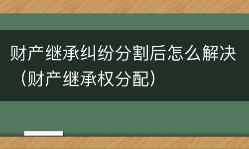 财产继承纠纷分割后怎么解决（财产继承权分配）