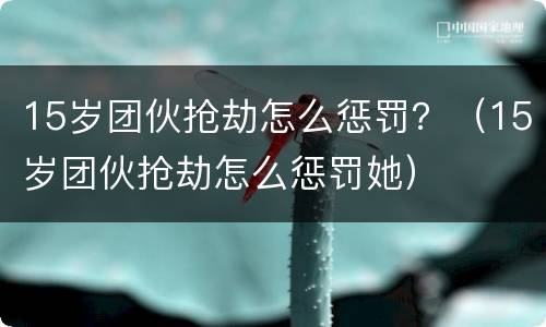 15岁团伙抢劫怎么惩罚？（15岁团伙抢劫怎么惩罚她）