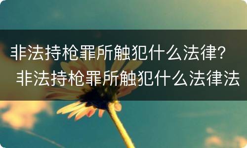 非法持枪罪所触犯什么法律？ 非法持枪罪所触犯什么法律法规