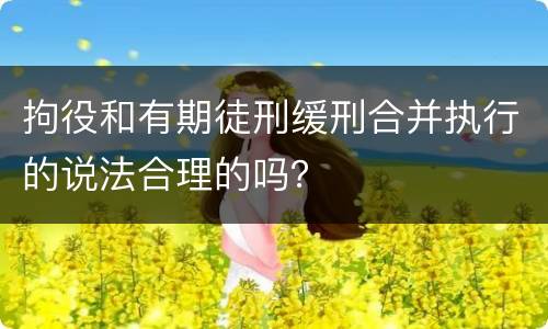 拘役和有期徒刑缓刑合并执行的说法合理的吗？