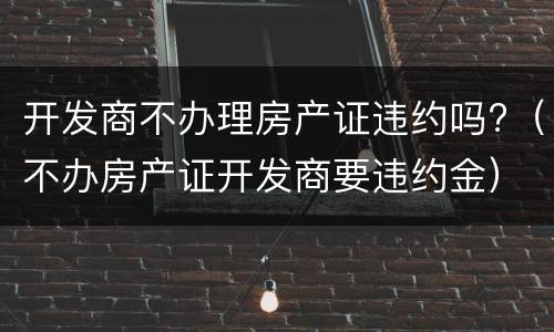 开发商不办理房产证违约吗?（不办房产证开发商要违约金）