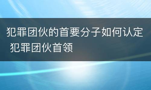 犯罪团伙的首要分子如何认定 犯罪团伙首领