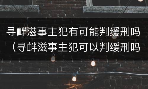 寻衅滋事主犯有可能判缓刑吗（寻衅滋事主犯可以判缓刑吗）