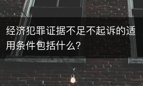 经济犯罪证据不足不起诉的适用条件包括什么？