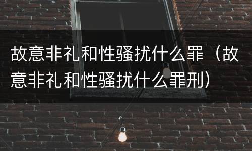 故意非礼和性骚扰什么罪（故意非礼和性骚扰什么罪刑）