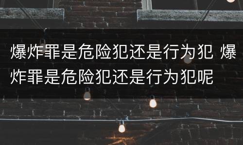 爆炸罪是危险犯还是行为犯 爆炸罪是危险犯还是行为犯呢