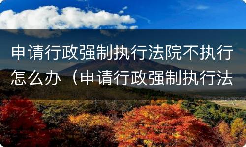 申请行政强制执行法院不执行怎么办（申请行政强制执行法院不执行怎么办理）