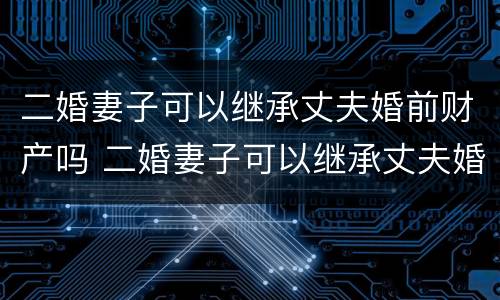 二婚妻子可以继承丈夫婚前财产吗 二婚妻子可以继承丈夫婚前财产吗视频