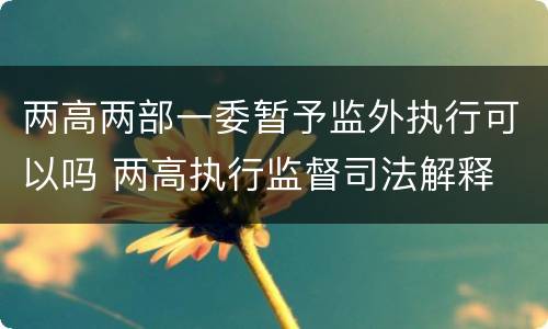 两高两部一委暂予监外执行可以吗 两高执行监督司法解释