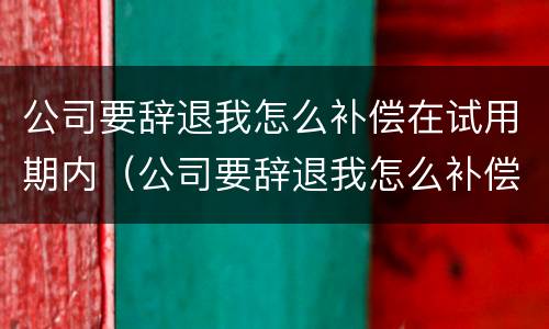 公司要辞退我怎么补偿在试用期内（公司要辞退我怎么补偿在试用期内离职）