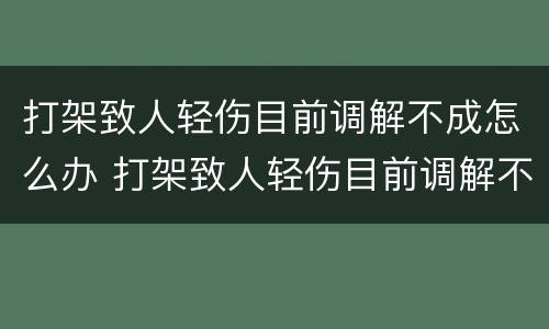 打架致人轻伤目前调解不成怎么办 打架致人轻伤目前调解不成怎么办呢