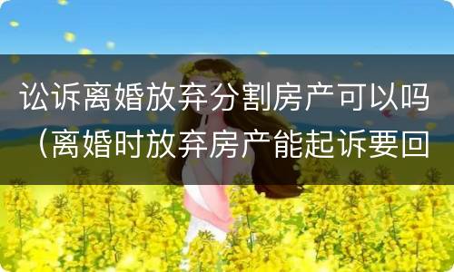 讼诉离婚放弃分割房产可以吗（离婚时放弃房产能起诉要回吗）