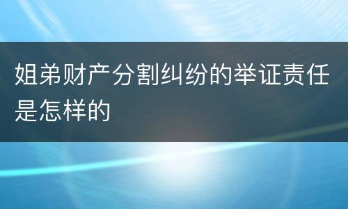 姐弟财产分割纠纷的举证责任是怎样的