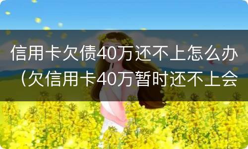 信用卡欠债40万还不上怎么办（欠信用卡40万暂时还不上会怎么样）