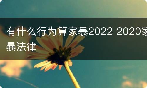 有什么行为算家暴2022 2020家暴法律