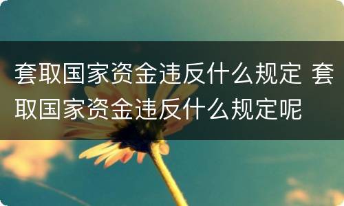 套取国家资金违反什么规定 套取国家资金违反什么规定呢