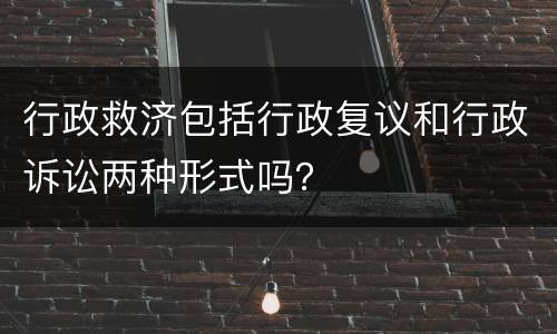 行政救济包括行政复议和行政诉讼两种形式吗？