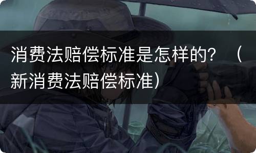 消费法赔偿标准是怎样的？（新消费法赔偿标准）