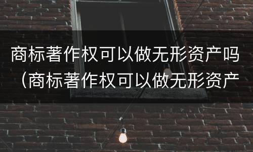 商标著作权可以做无形资产吗（商标著作权可以做无形资产吗为什么）