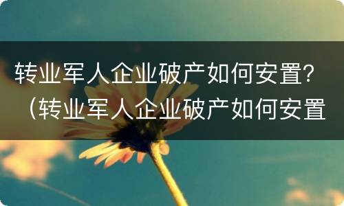 转业军人企业破产如何安置？（转业军人企业破产如何安置工作）