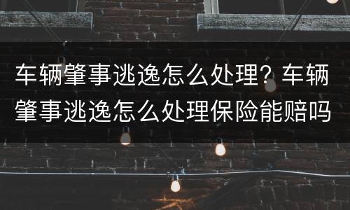 车辆肇事逃逸怎么处理? 车辆肇事逃逸怎么处理保险能赔吗