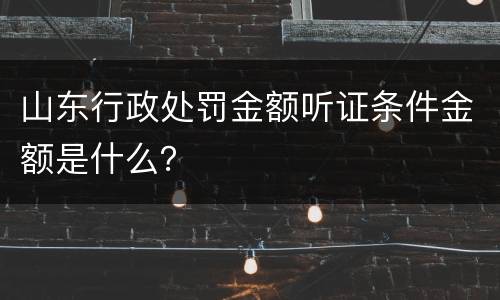 山东行政处罚金额听证条件金额是什么？