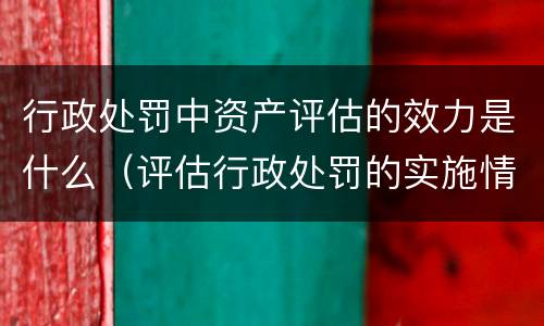 行政处罚中资产评估的效力是什么（评估行政处罚的实施情况和必要性）