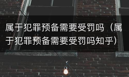 属于犯罪预备需要受罚吗（属于犯罪预备需要受罚吗知乎）