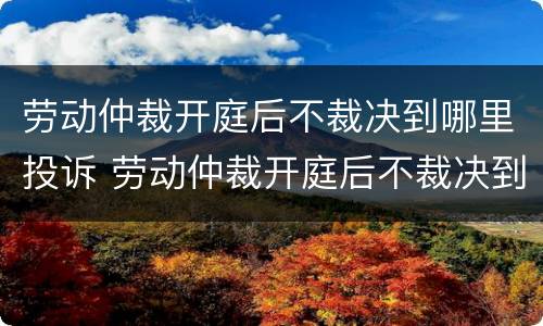 劳动仲裁开庭后不裁决到哪里投诉 劳动仲裁开庭后不裁决到哪里投诉有效