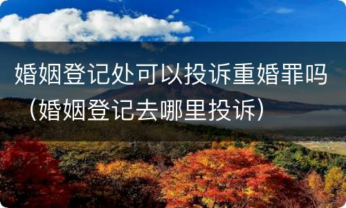 婚姻登记处可以投诉重婚罪吗（婚姻登记去哪里投诉）