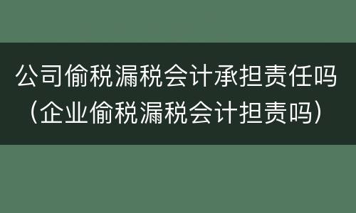 公司偷税漏税会计承担责任吗（企业偷税漏税会计担责吗）