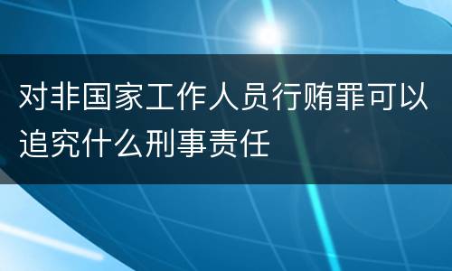 对非国家工作人员行贿罪可以追究什么刑事责任