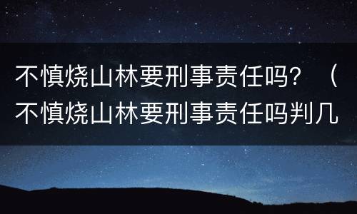 不慎烧山林要刑事责任吗？（不慎烧山林要刑事责任吗判几年）