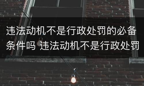 违法动机不是行政处罚的必备条件吗 违法动机不是行政处罚的必备条件吗对吗