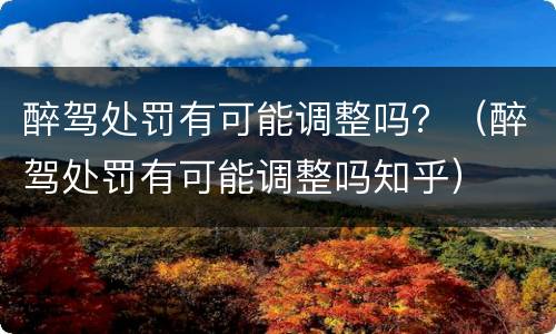 醉驾处罚有可能调整吗？（醉驾处罚有可能调整吗知乎）