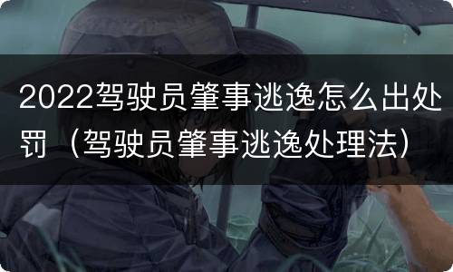 2022驾驶员肇事逃逸怎么出处罚（驾驶员肇事逃逸处理法）