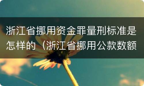 浙江省挪用资金罪量刑标准是怎样的（浙江省挪用公款数额较大标准）