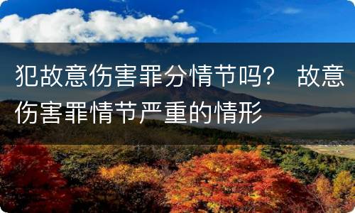 犯故意伤害罪分情节吗？ 故意伤害罪情节严重的情形