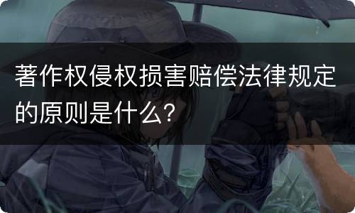 著作权侵权损害赔偿法律规定的原则是什么？