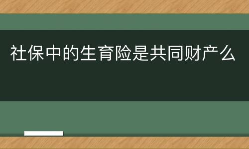 社保中的生育险是共同财产么